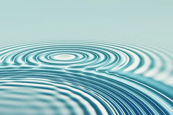 كازينو بونانزا جيم الدعم